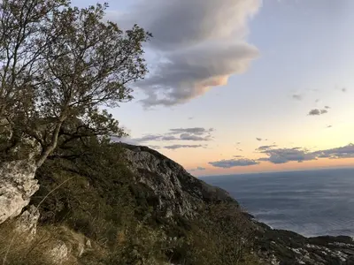 a tree on the side of a mountain overlooking the ocean at Apartman Bonaca in Pržno