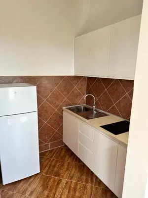 a kitchen with a sink and a white refrigerator at Best View Apartment in Sutomore