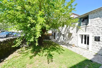 a tree in a yard next to a building at Old Town View - Romantic & Super Stylish in Kotor
