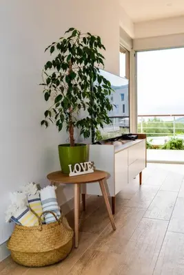 a potted plant sitting on a table in a kitchen at Golden Suit Tivat Heights-Pool & Seaview C1 in Kavač