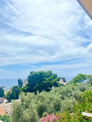a view of a hill with trees and the ocean at NOA Guest House in Ulcinj