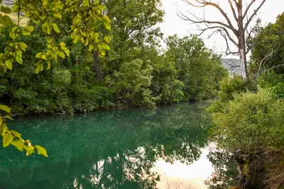a river with emerald green water and trees at Via river in Podgorica