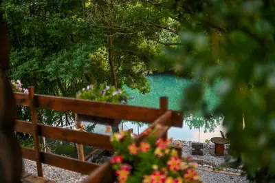 a view of a lake from a fence with flowers at Via river in Podgorica