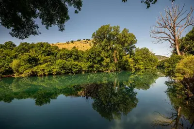a river with trees reflecting in the water at Via river in Podgorica