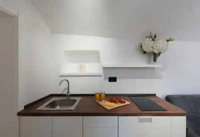 a kitchen with a sink and a plate of food on a counter at Old Town South Gate Apartment in Kotor