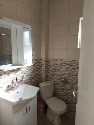 a bathroom with a toilet and a sink and a mirror at Crni Bor Sutomore in Sutomore