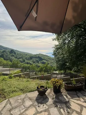 two potted plants sitting on a table under an umbrella at Nature Escape Montenegro in Kotor