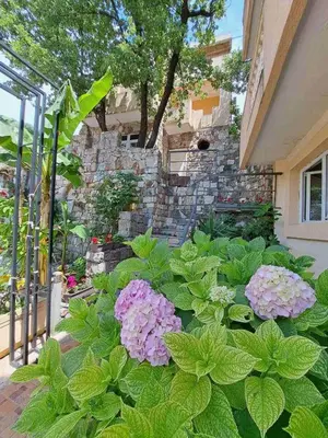 a garden with purple and pink flowers in front of a building at Violit Apartments&Restaurant in Sutomore