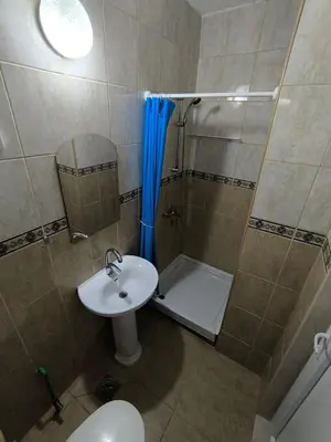 a bathroom with a sink and a shower and a toilet at Violit Apartments&Restaurant in Sutomore
