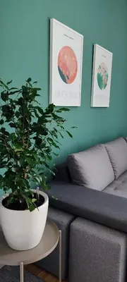 a plant sitting on a table next to a couch at Studio 357 Cetinje in Cetinje