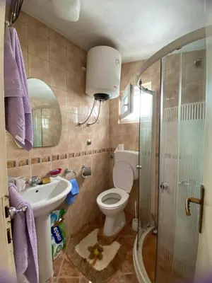 a bathroom with a toilet and a sink and a shower at Apartment Alex in Kotor