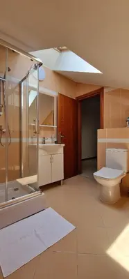 a bathroom with a shower and a toilet and a sink at APARTMANI NINI in Rafailovici