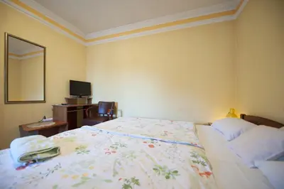 a bedroom with a bed and a mirror and a television at Guest House Pansion 10 in Cetinje