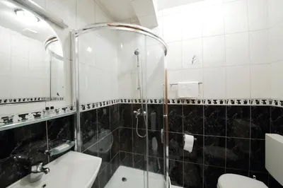 a bathroom with a shower and a toilet and a sink at Guest House Pansion 10 in Cetinje