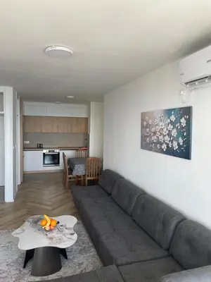 a living room with a couch and a table at Pine forest apartment in Ulcinj