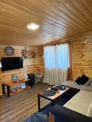 a living room with a couch and a tv in a cabin at Kućica Vukčević Ada Bojana in Ulcinj