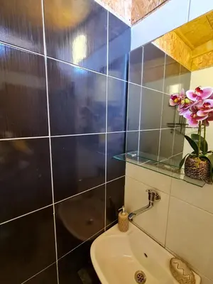 a bathroom with a sink and a vase of flowers at Kućica Vukčević Ada Bojana in Ulcinj