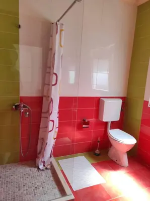 a bathroom with a toilet and a shower at Vila Šeki in Bar