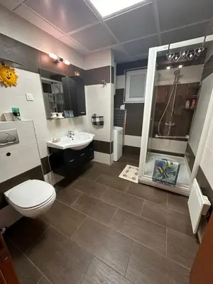 a bathroom with a toilet and a sink and a shower at Apartments Comfort Petrovac in Petrovac na Moru