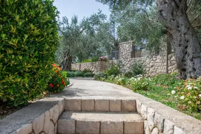 a stone path in a garden with a stone wall at Rustic Olive House in Ulcinj