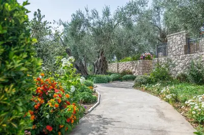 a garden path with flowers and a stone wall at Rustic Olive House in Ulcinj