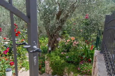 a garden with a tree and colorful flowers at Rustic Olive House in Ulcinj