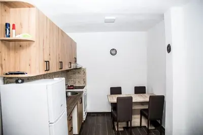 a kitchen with a table and a white refrigerator at Village house Katarina in Cetinje