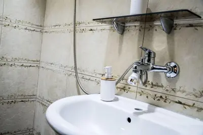 a bathroom with a sink and a faucet at Village house Katarina in Cetinje