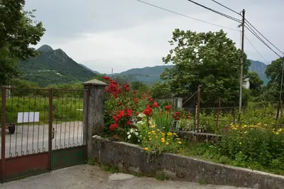 a fence with a bunch of flowers in a garden at B&B Ana in Virpazar