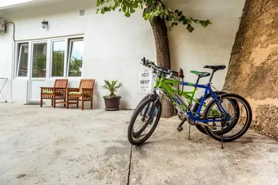 a bike parked next to a tree in front of a house at Apartments Moskov in Kotor