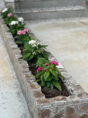 a row of pink and white flowers in a brick planter at Apartments Sella in Ulcinj