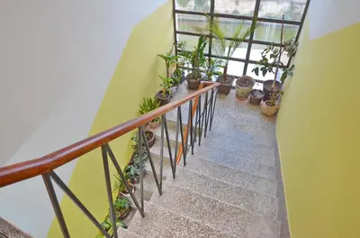 a stairway with potted plants on it at Central Art Oasis Kotor in Kotor