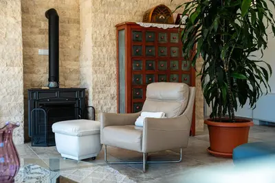 a living room with a chair and a stove at Ventus Rosa Villa in Budva