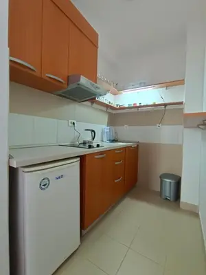 a small kitchen with a sink and a dishwasher at Center Studio in Petrovac na Moru