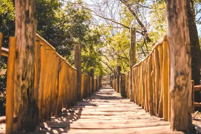 a wooden bridge with trees on each side at Carevic Resort & Villas in Budva