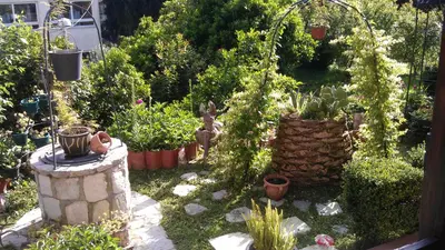 a garden with potted plants and a rabbit in the yard at Apartments Sandra in Kotor