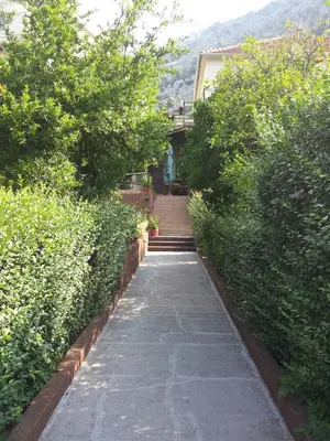 a walkway in front of a house with trees at Apartments Sandra in Kotor