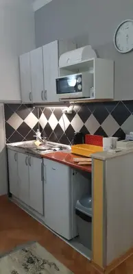 a kitchen with a sink and a microwave at Apartments Sandra in Kotor