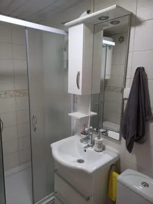 a bathroom with a sink and a shower and a mirror at STELLA di mare in Sutomore