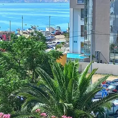 STELLA di mare