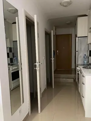 a kitchen with two doors and a sink and a counter at Stan Budva - Potkosljun in Budva