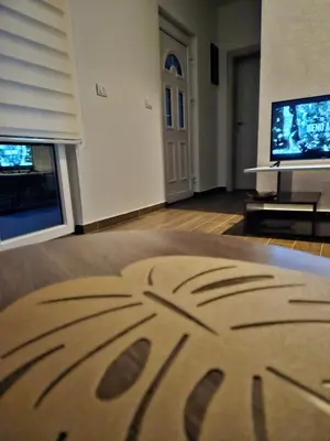 a living room with a couch and a tv at KenDar Family Apartments in Ulcinj