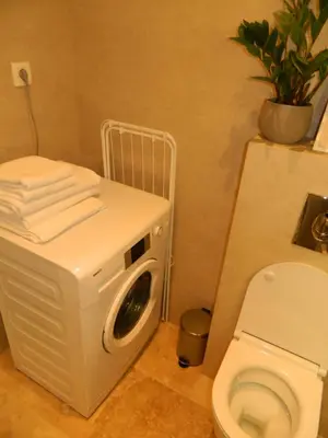 a washing machine in a bathroom with a toilet at ROSE Downtown in Podgorica