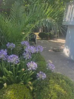 a garden with purple flowers and a bench at Cozy House Haj Nehaj in Sutomore