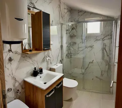 a bathroom with a shower and a sink and a toilet at Villa Bubanja with shared pool in Kotor