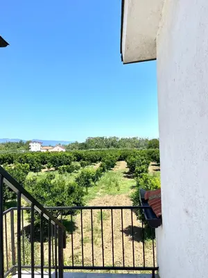 a view of a vineyard from a balcony at Hida Ile apartments in Ulcinj