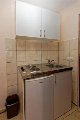 a kitchen with a stove and a sink at Apartments Ajla in Utjeha