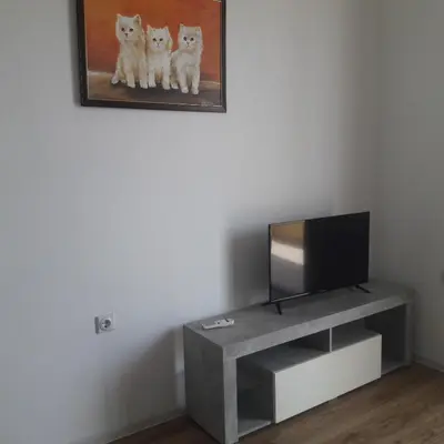 a living room with a tv and two white cats at Apartments Verona in Ulcinj
