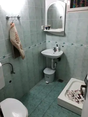 a bathroom with a sink and a toilet and a mirror at Dragana in Petrovac na Moru