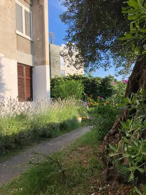 a path next to a building with a tree at Dragana in Petrovac na Moru